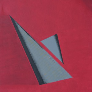 Cono grigio