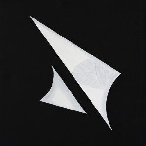 Foglia 6